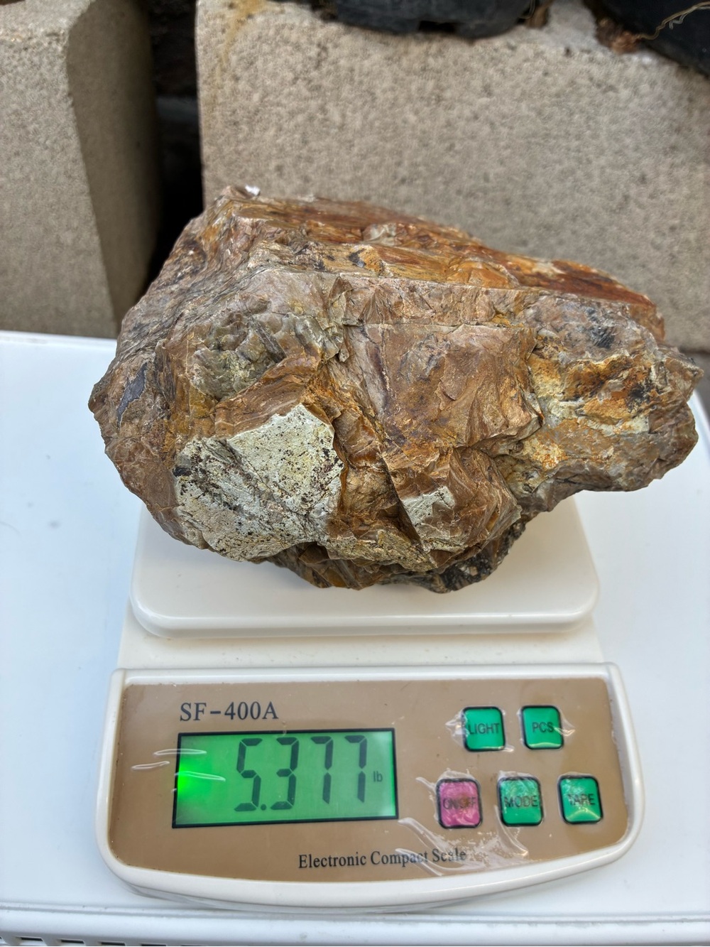 Large Rare Petrified Wood Specimen Rough 6” x7”, Over 5 Lbs - Picture 6 of 16